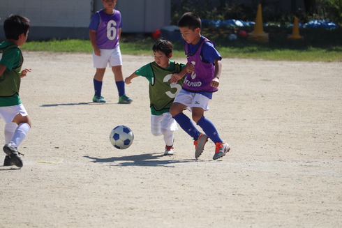 img_20190917-105741.jpg