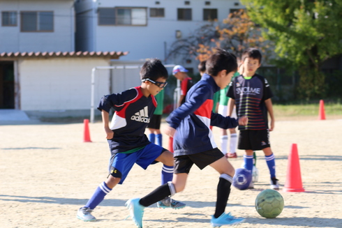 img_20191114-123733.jpg