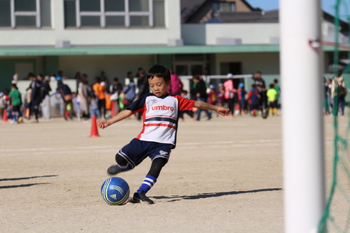 img_20191114-124144.jpg