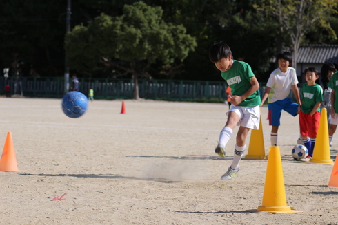 img_20191114-124303.jpg