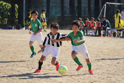 img_20191124-122150.jpg