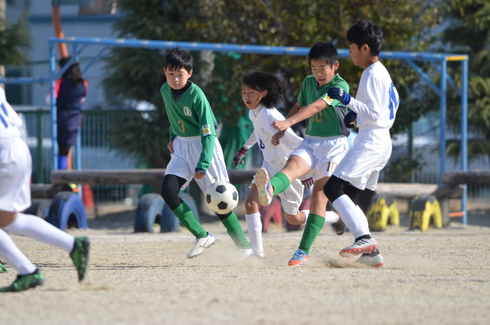 img_20191219-084234.jpg