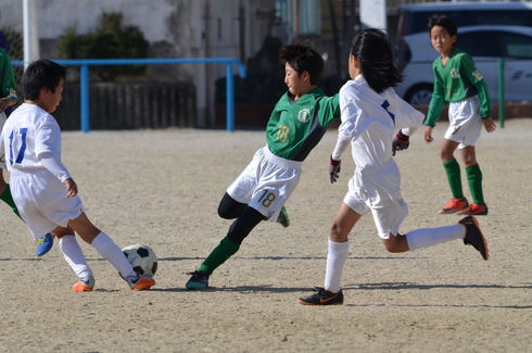 img_20191219-084556.jpg