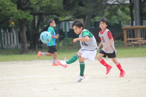 img_20200925-123716.jpg