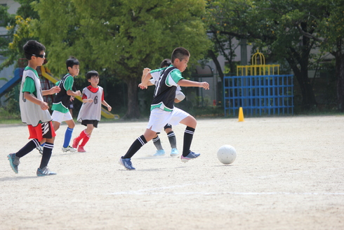 img_20200925-125219.jpg