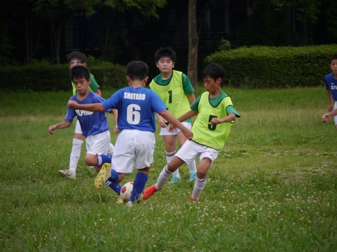 img_20210715-110509.jpg