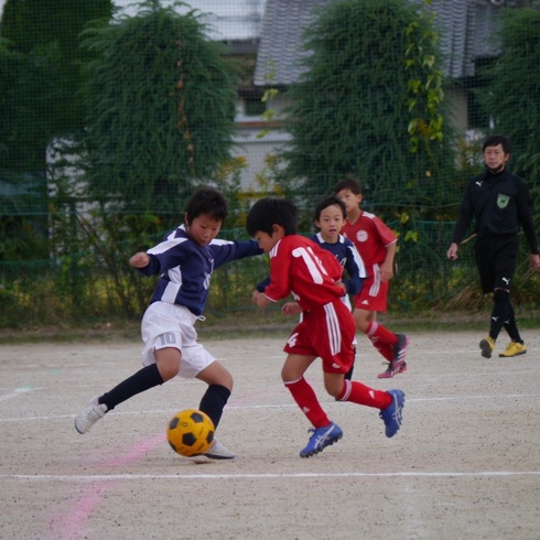 img_20211018-231853.jpg