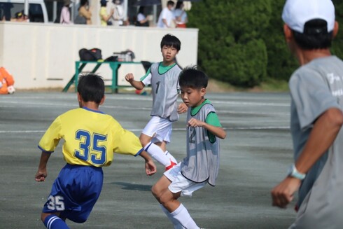 img_20221019-020100.jpg