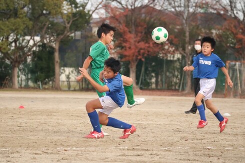 img_20221129-130145.jpg