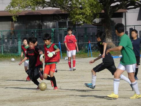 img_20230416-122248.jpg