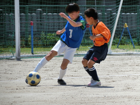 img_20230507-112254.jpg