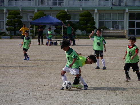 img_20230521-121049.jpg