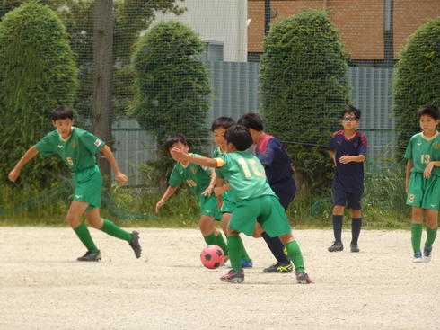 img_20230610-125610.jpg