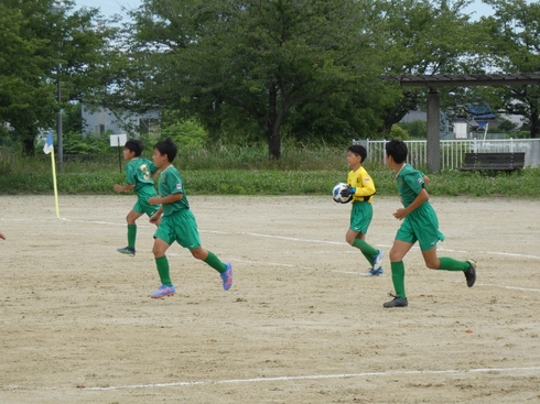 img_20230625-114856.jpg
