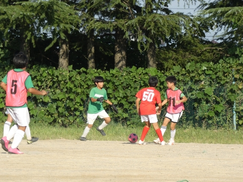img_20230917-123842.jpg