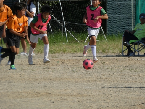 img_20230917-123941.jpg