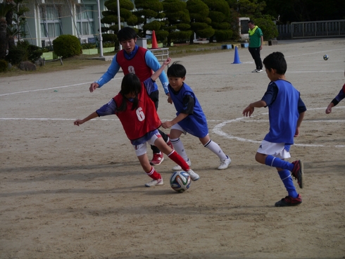 img_20231119-220645.jpg