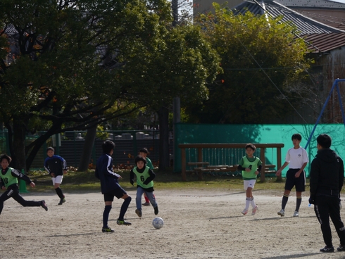 img_20231119-220714.jpg
