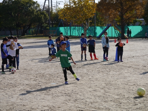 img_20231119-220814.jpg