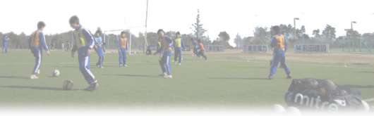 img_20120514-083542.jpg