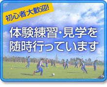 img_20120625-153607.jpg