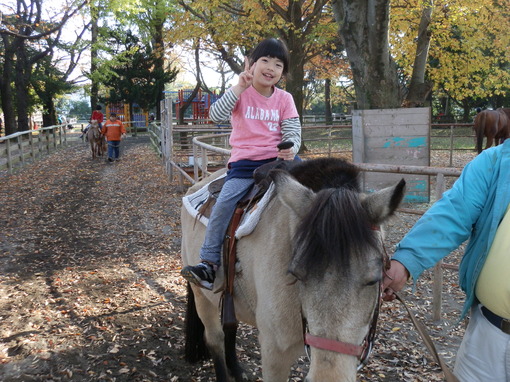 img_20131125-184645.jpg