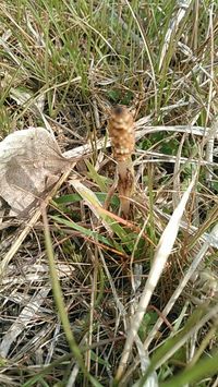 img_20160323-222856.jpg