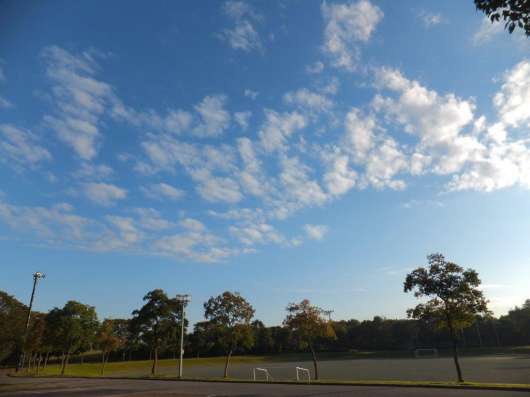 img_20121105-225535.jpg