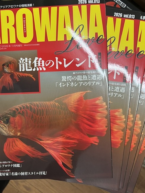 ☆新着情報☆ - 熱帯魚 AQUAstyletim's