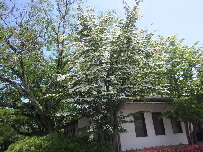 img_20260529-110702.jpg