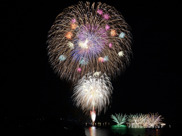 Code46 World Of Code46 アルバム18