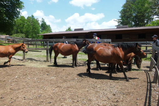 img_20180605-014026.jpg