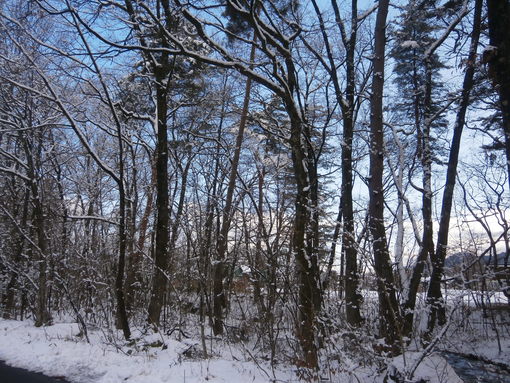 img_20190123-075229.jpg