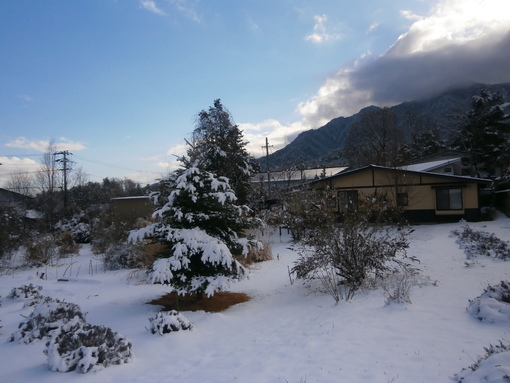 img_20190123-075310.jpg
