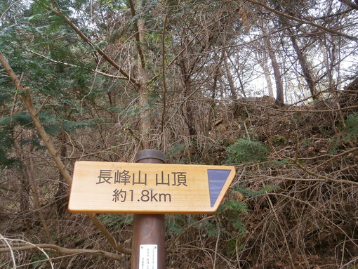 img_20190420-051504.jpg