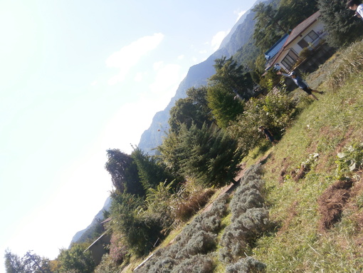 img_20190914-052012.jpg