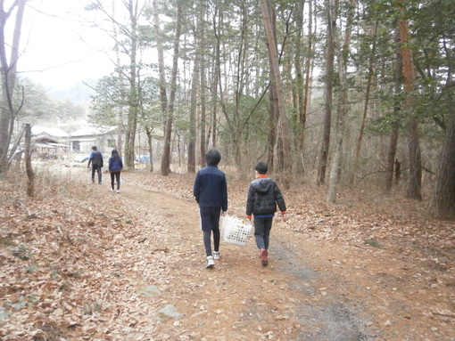 img_20200125-061354.jpg