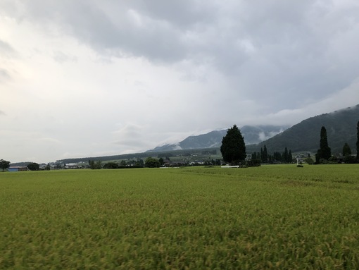 img_20210904-023315.jpg