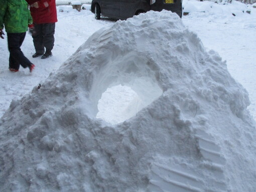 img_20220115-055039.jpg