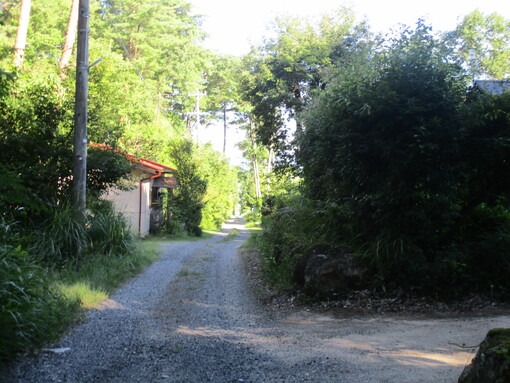 img_20220823-015515.jpg