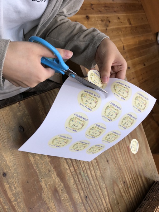 img_20220906-030609.jpg