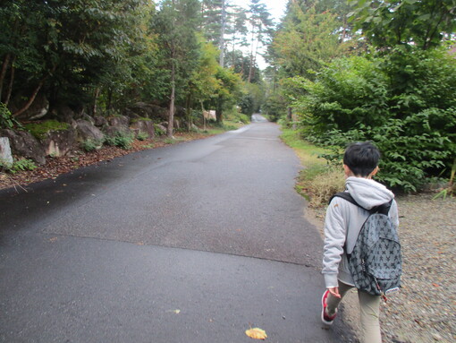 img_20221008-062504.jpg