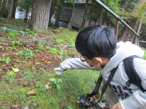 img_20221008-062545.jpg