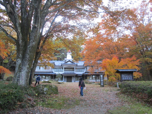 img_20221112-060720.jpg