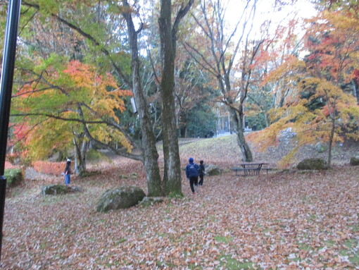 img_20221112-060732.jpg