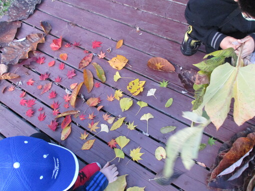 img_20221112-060812.jpg