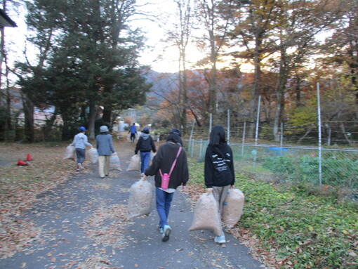 img_20221119-052034.jpg