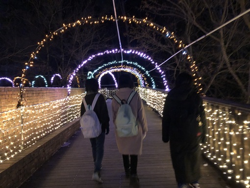 img_20221223-104659.jpg