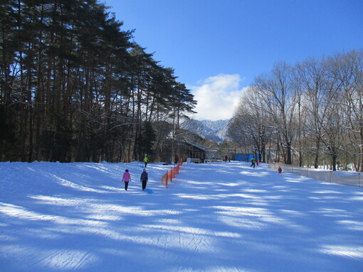 img_20230204-061007.jpg
