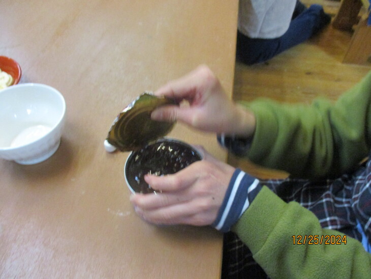 img_20241226-140638.jpg